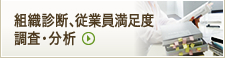組織診断、従業員満足度調査・分析