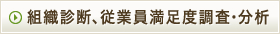 組織診断と課題抽出